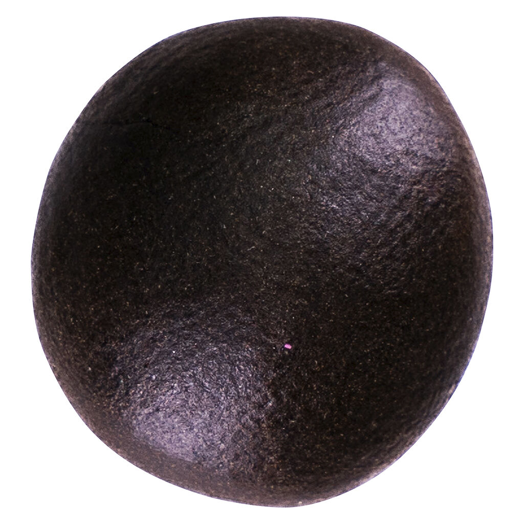 Lune Rise Farms - 2:1 CBD/THC Lemon Zest Balanced Bubble Hash - Hybrid - 3g