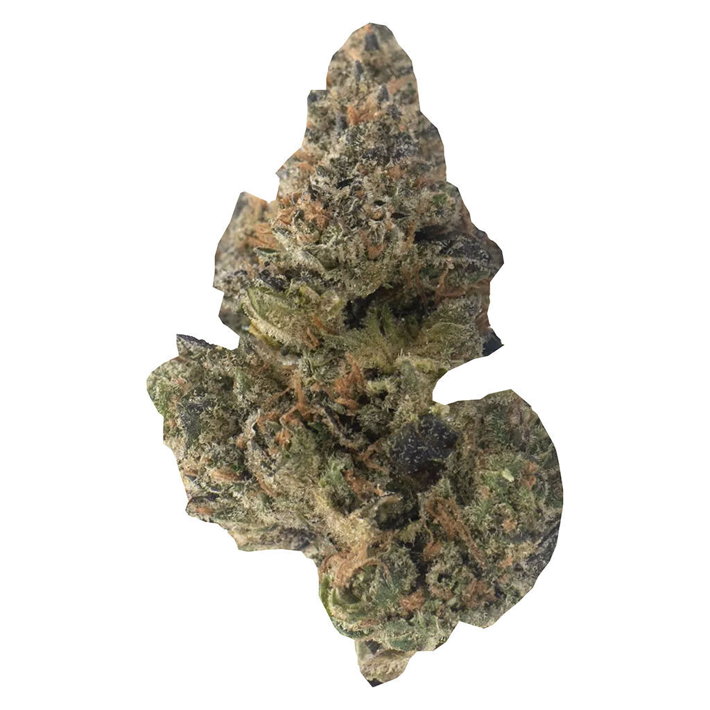 Weed Me Limited Batch - Maple Rntz