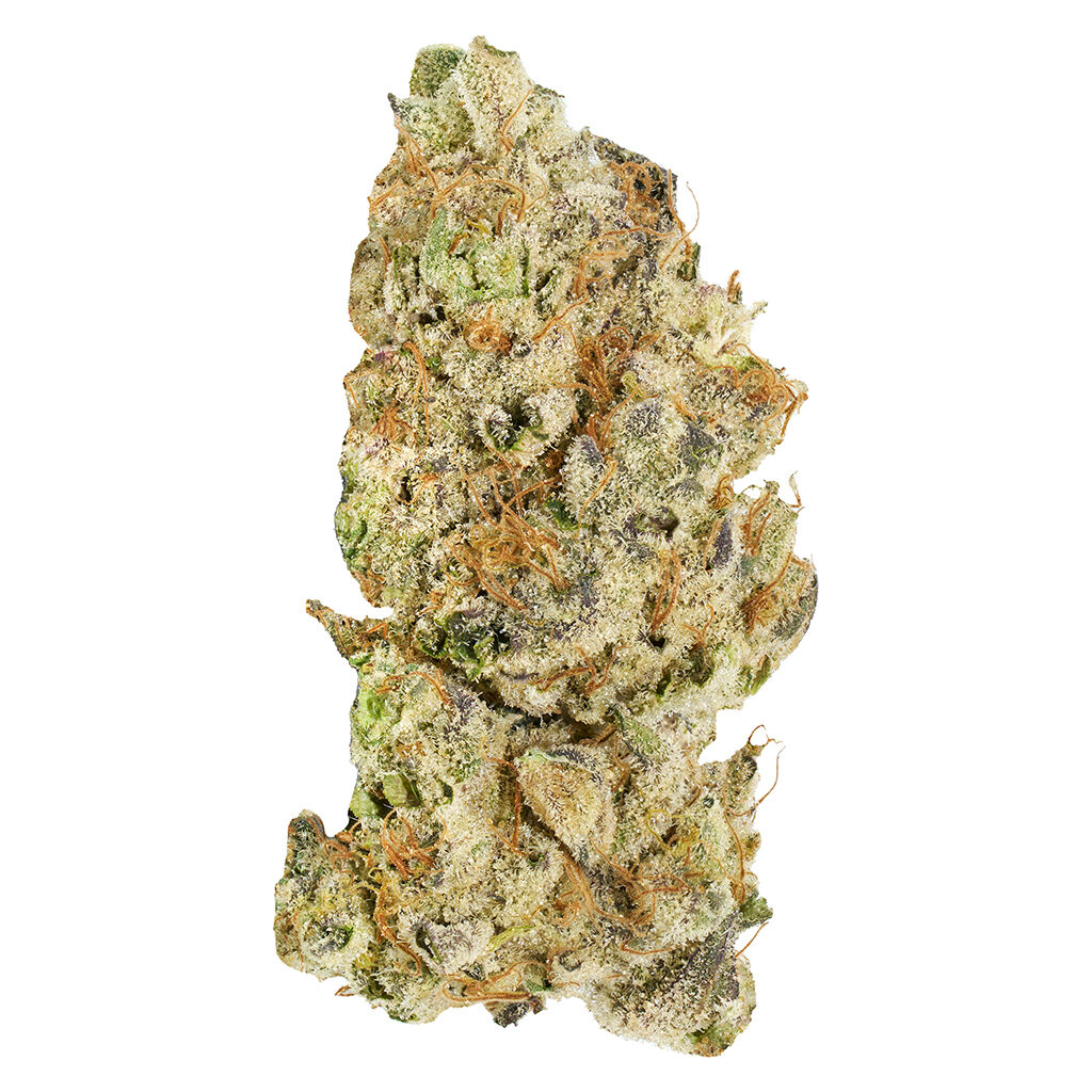 Broken Coast - Platinum Pave