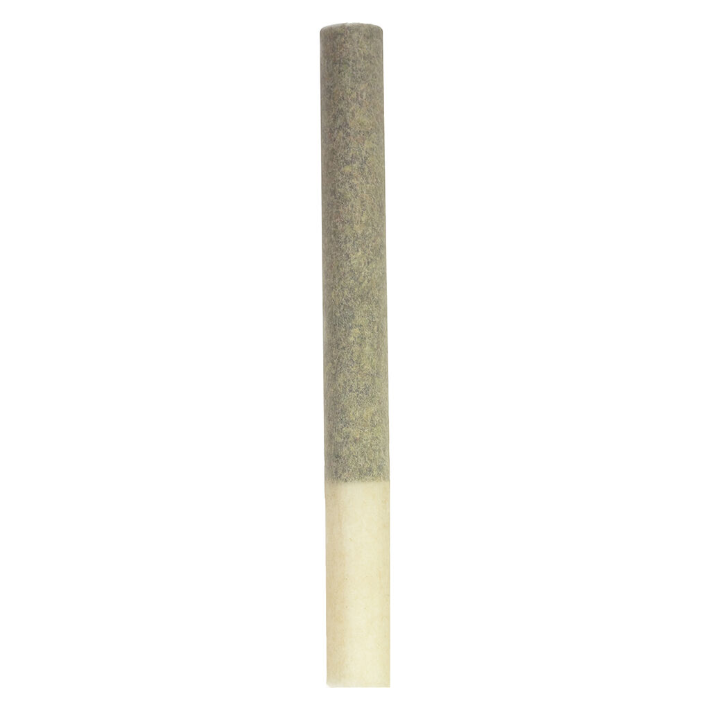 Steel City Green - Kings+ Extreme Single Pre-Roll - Hybrid - 1x1g