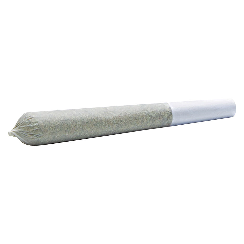 Wildlife Cannabis Co. - Purple Trainwreck Pre-Roll - Indica - 10x0.3g