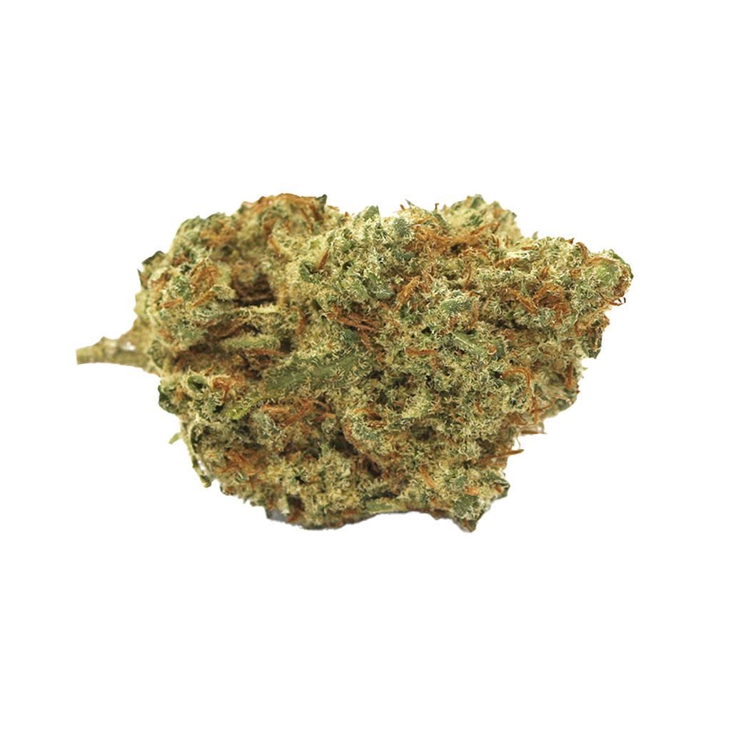 Wildlife Cannabis Co. - Sun County Kush