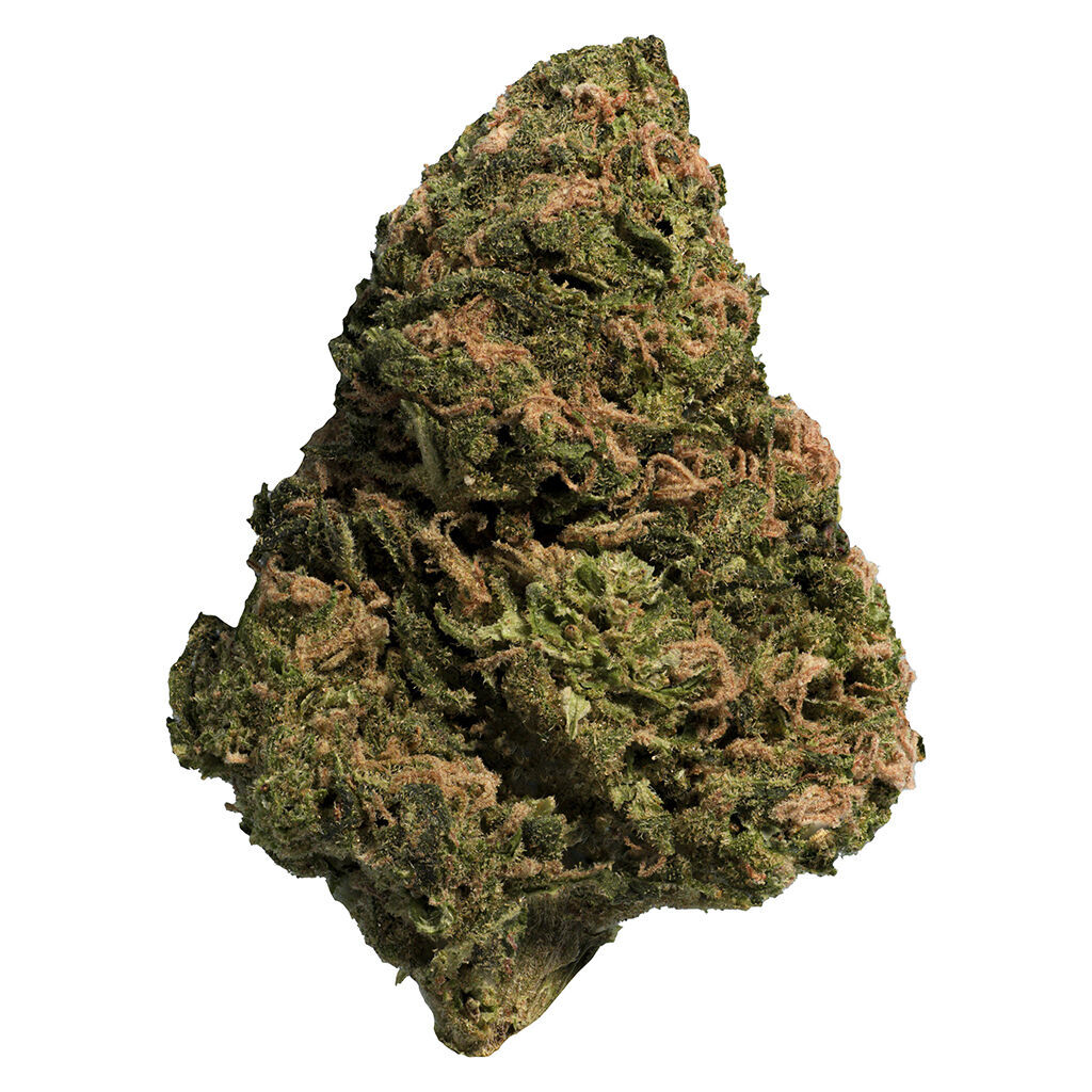 Big Steal - BC Organic Sungrown Bonkers