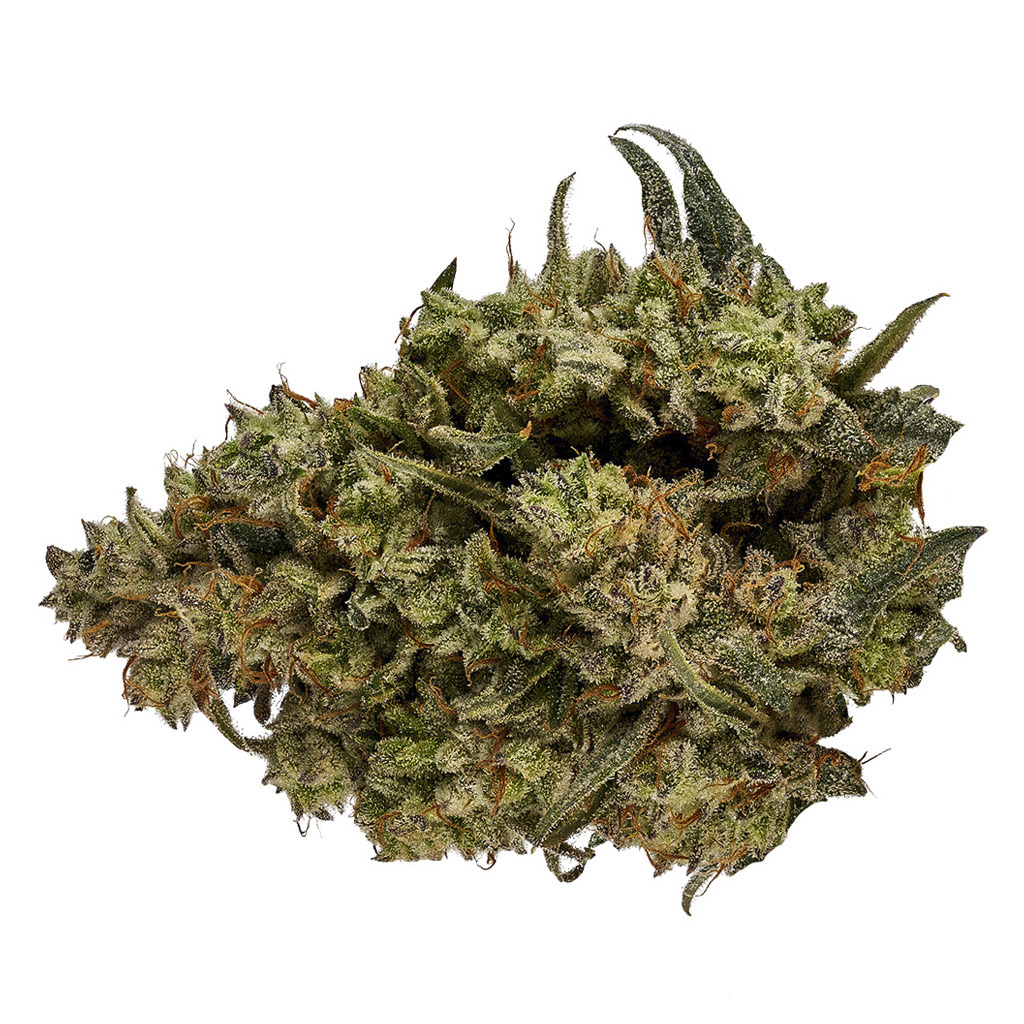 Orchid CBD - CBD Runtz