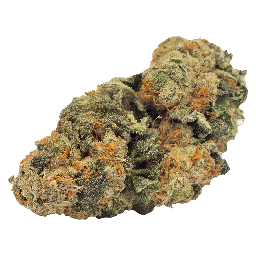 FIGR - Notable Nancy - Dried Flower
