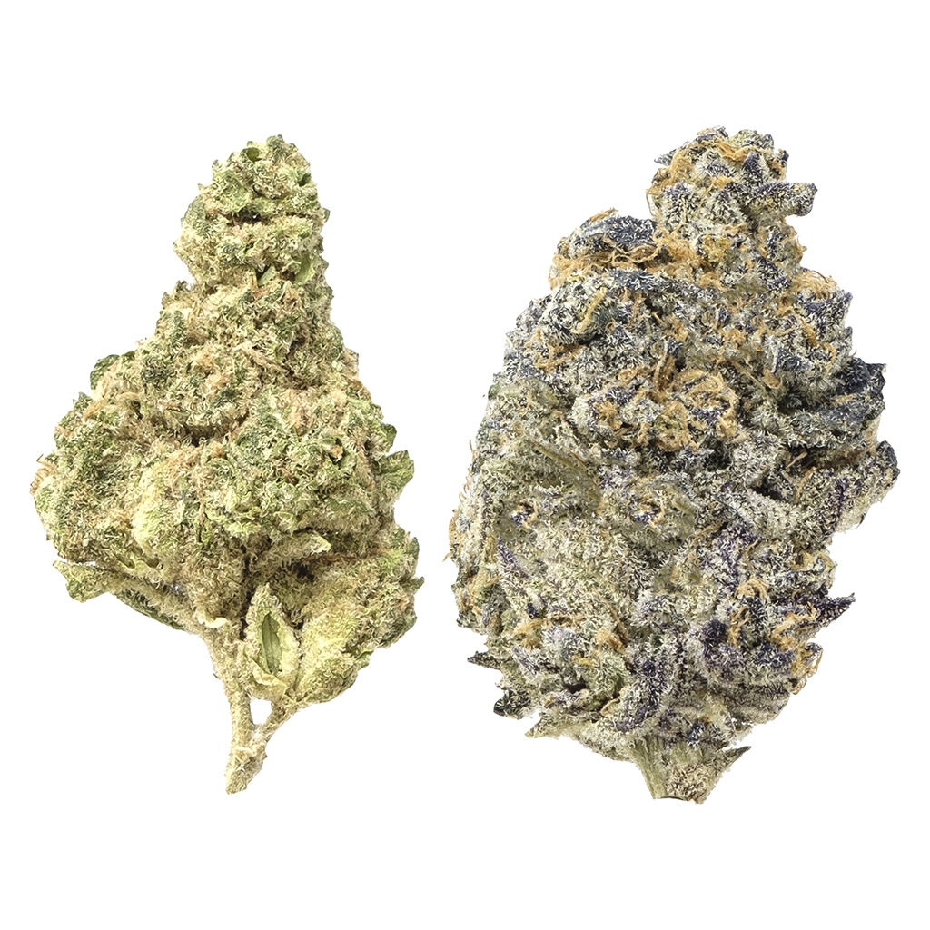 Snicklefritz - Candi Gas Mixed Pack - Froot Stripez & Gas Tingz