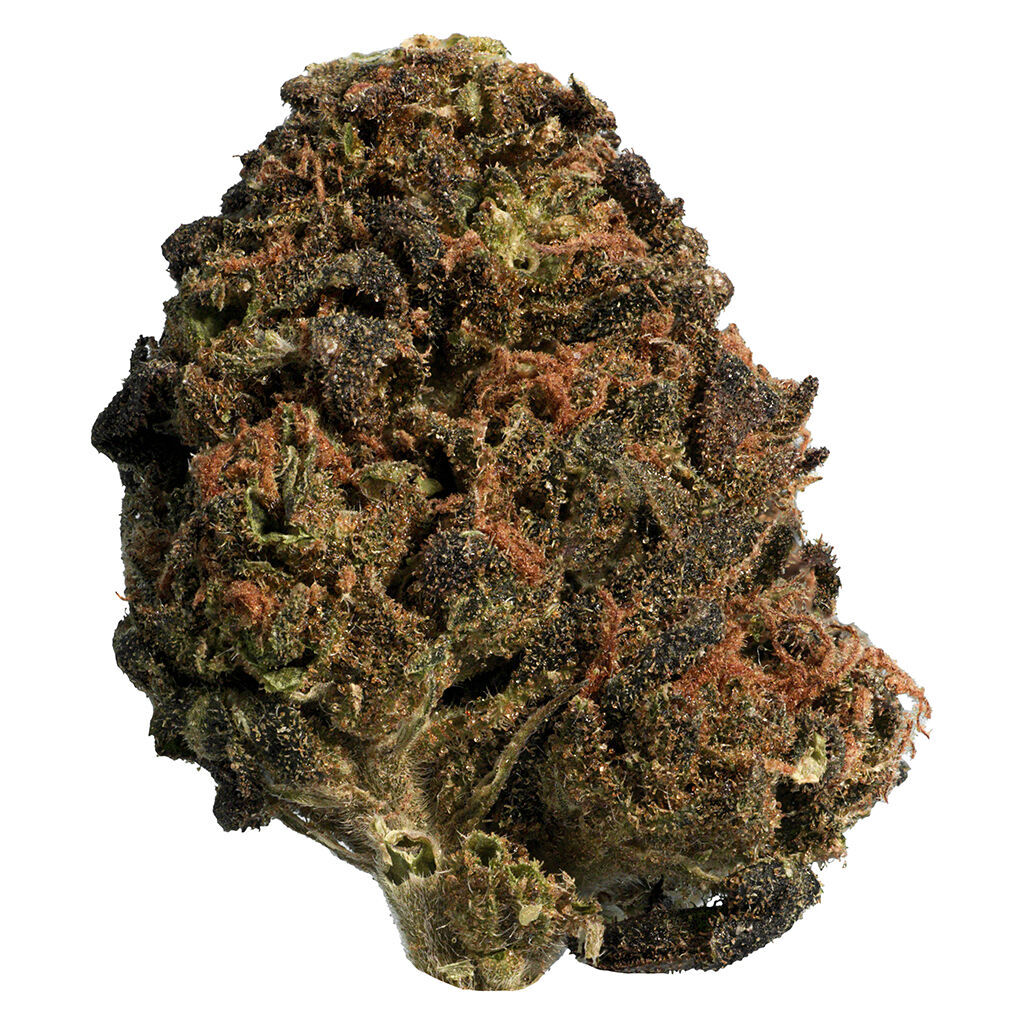 Big Steal - BC Organic Sungrown Mango Sapphire