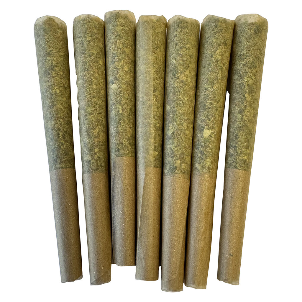 Noodz - Profile - Gas Pre-roll - Hybrid - 7x0.5g