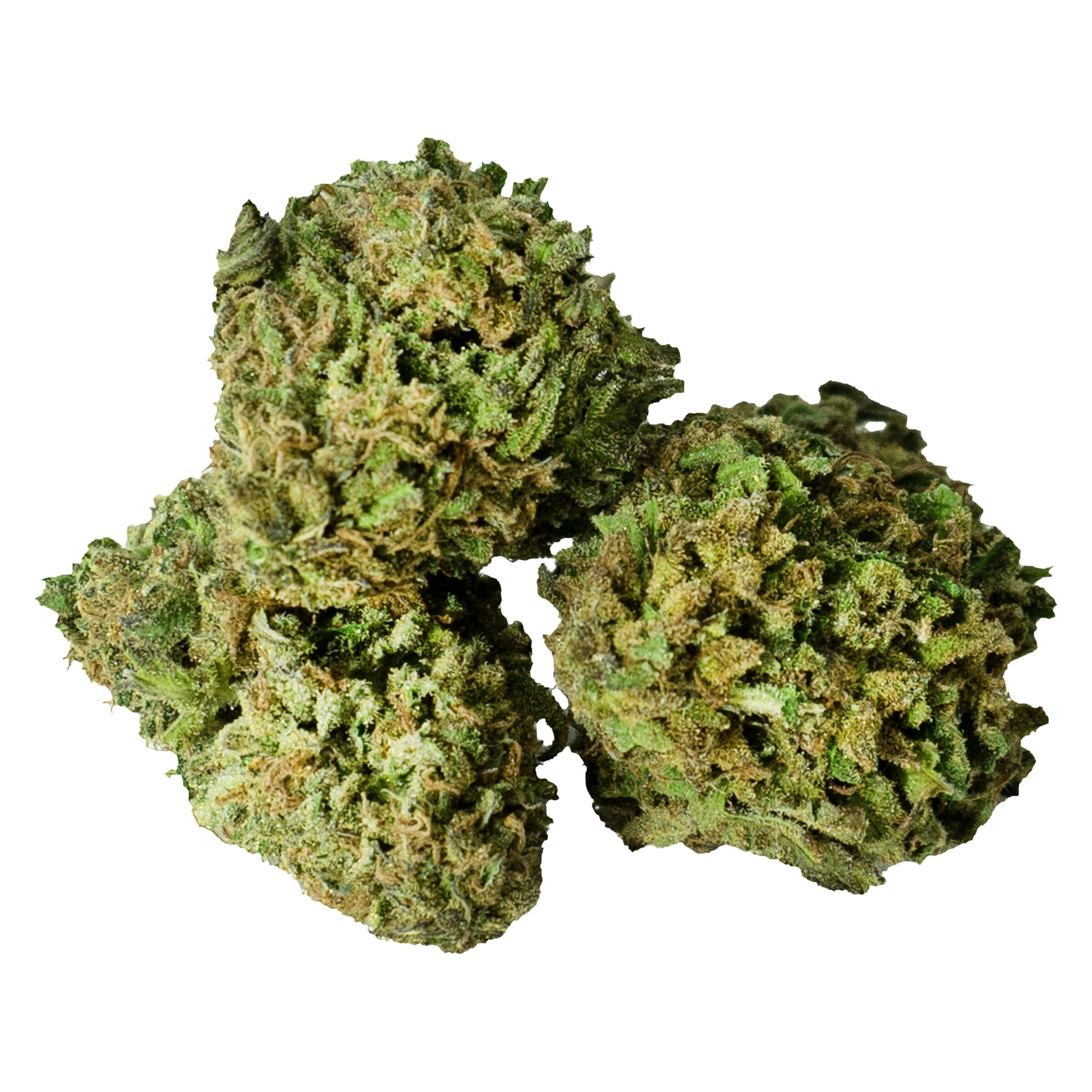 FDL par/by Fleurs de L'Île - Bruce Banner