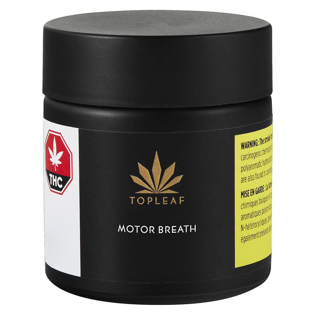 Top Leaf - Motor Breath