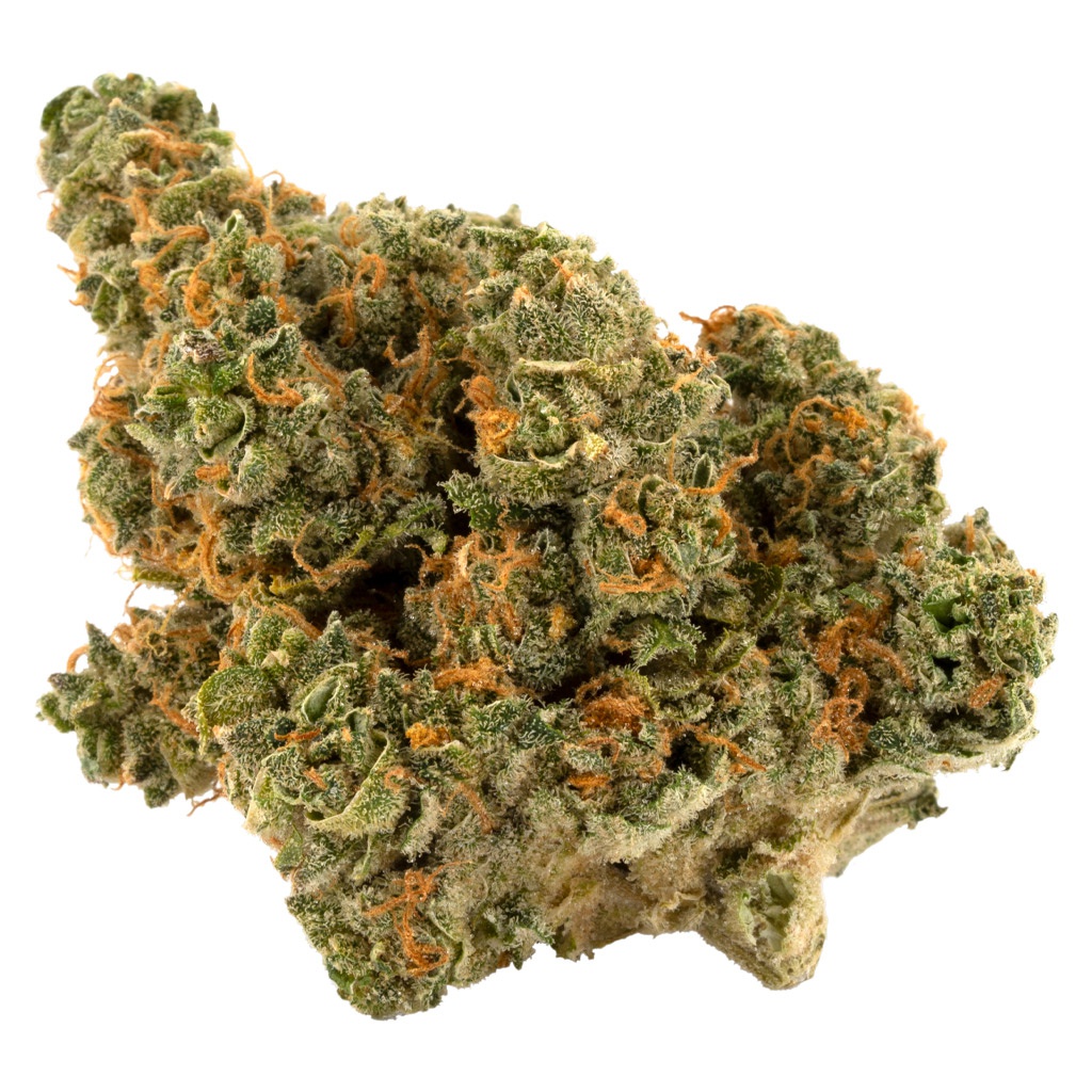 Palmetto - Romulan