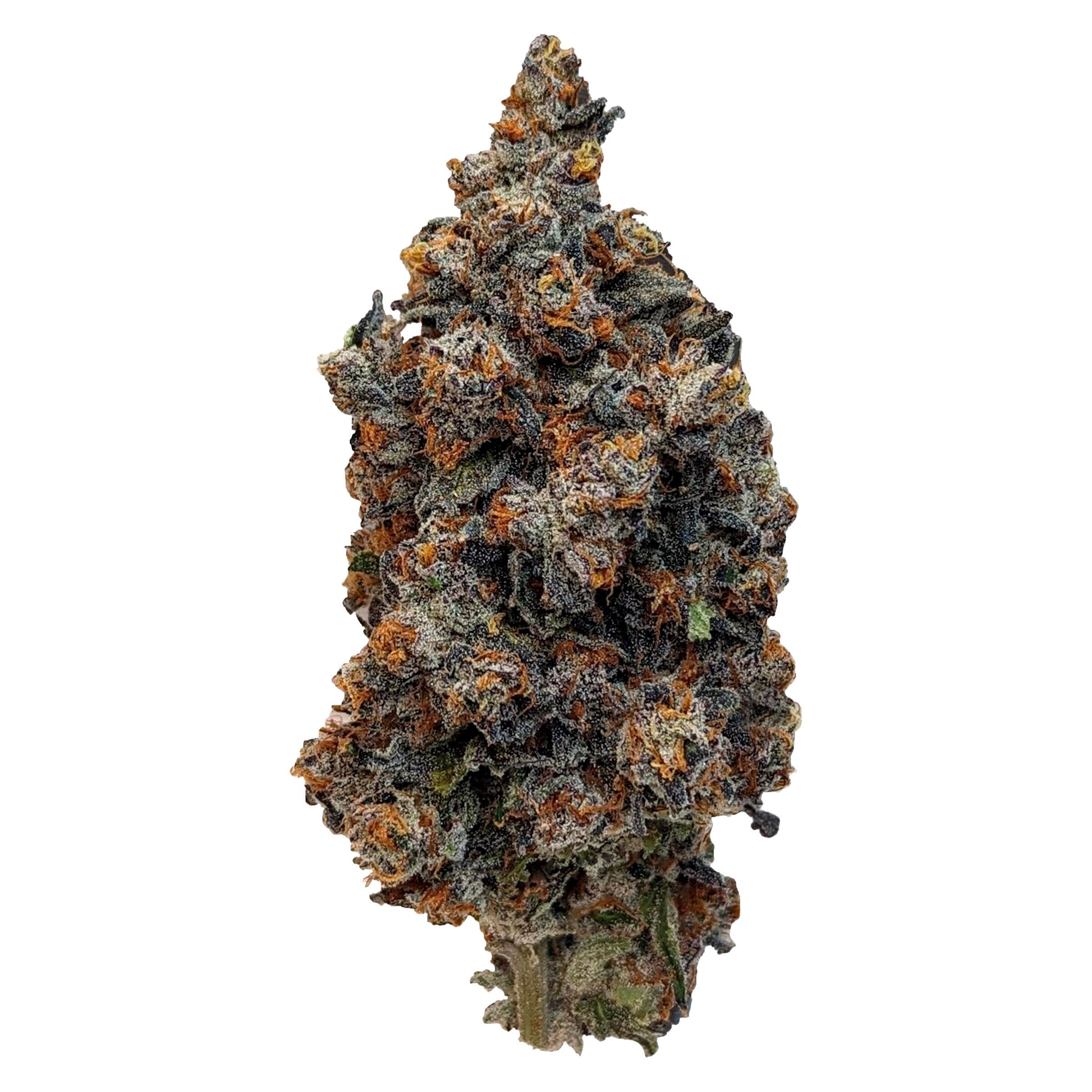 Rocket Factory - Interstellar Stash