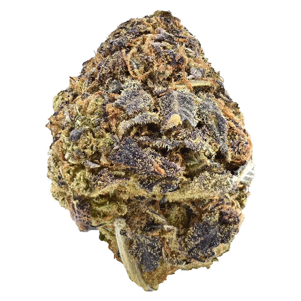 Mendo Select - Purple Mountain Majesty 1:1