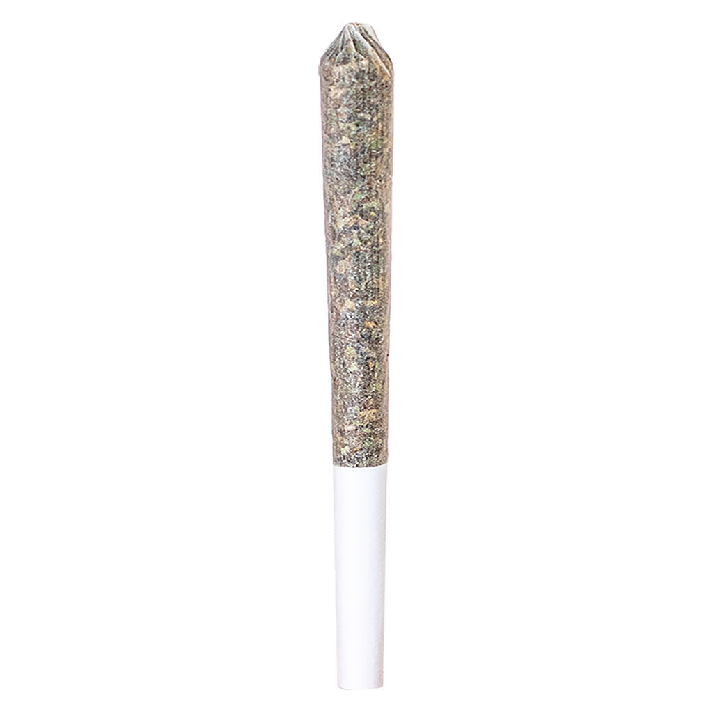 Station House - Ghost Train Haze Express Train Single Infused Pre-Roll - Sativa - 1x0.5g