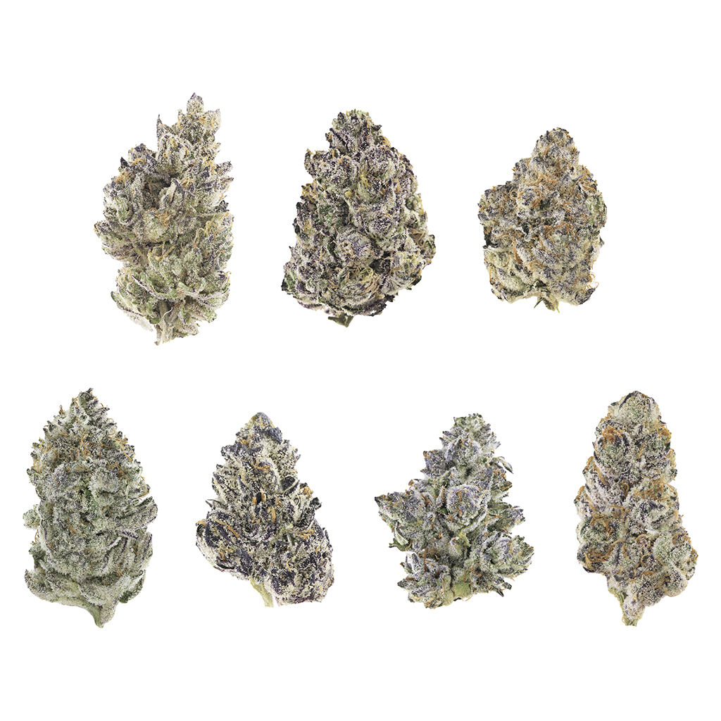 The Karma Cup - Indica Dominant Judges Kit