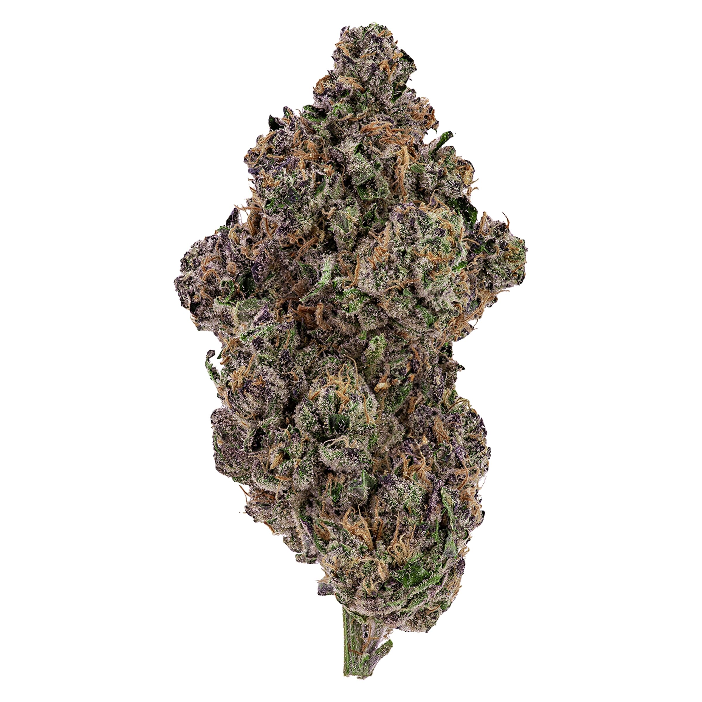 Ghost Drops - Sherbanger 22