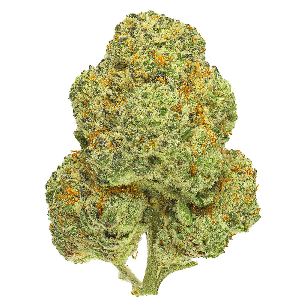 San Rafael '71 - Chemango Kush