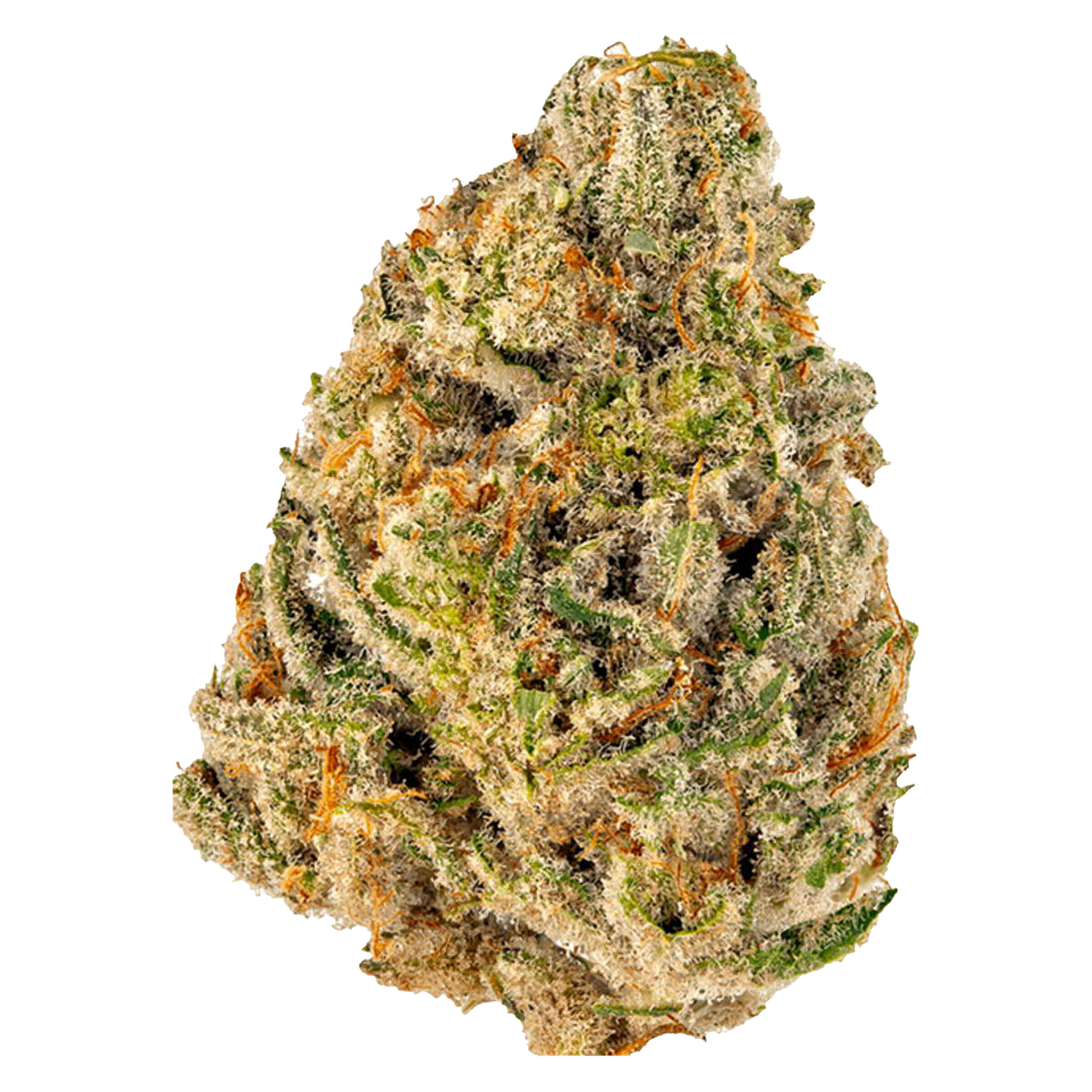 Kronic - Our President's Choice