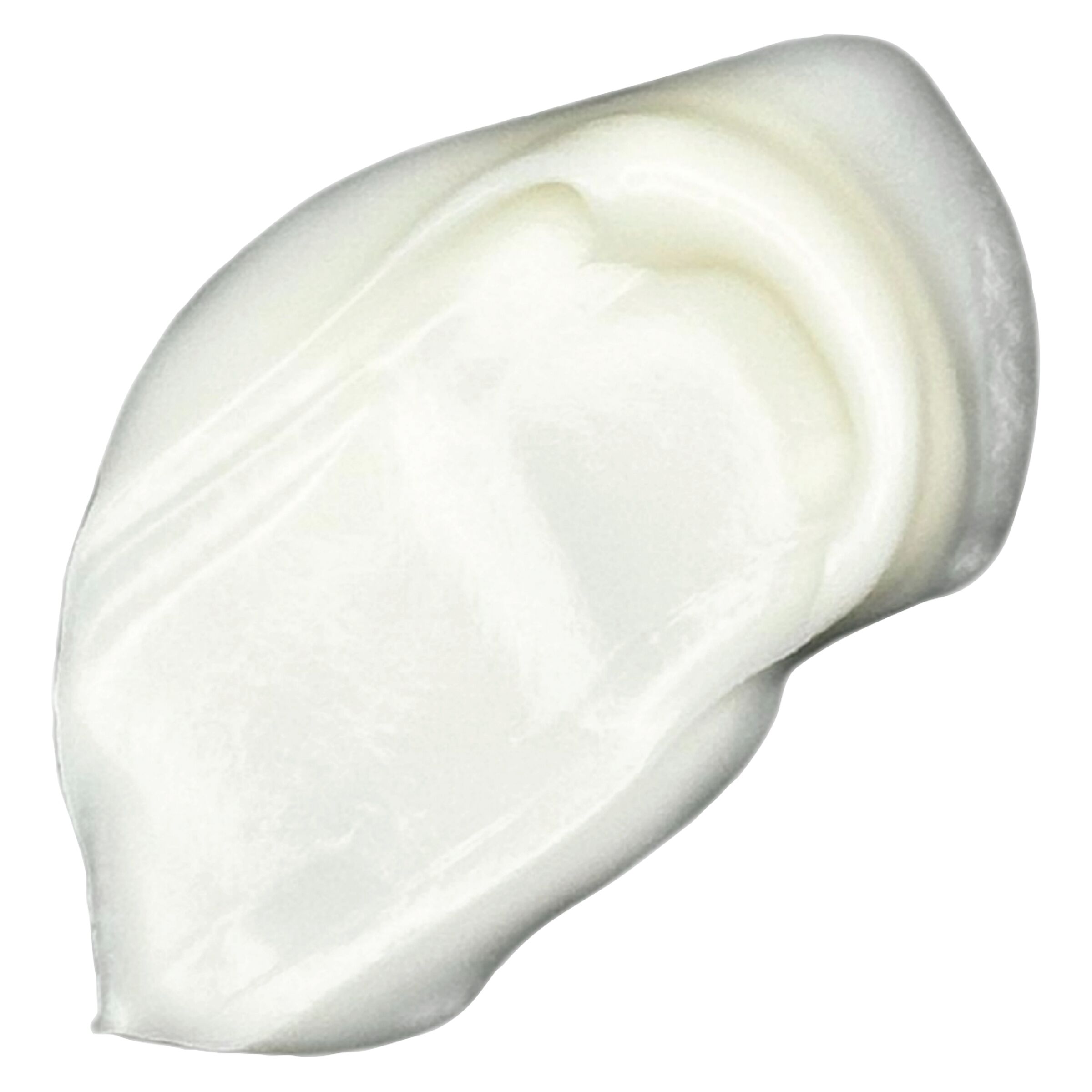 Naturally Nutra - CBD:CBG Vanilla Moisturizing Cream for Body - Hybrid - 50g