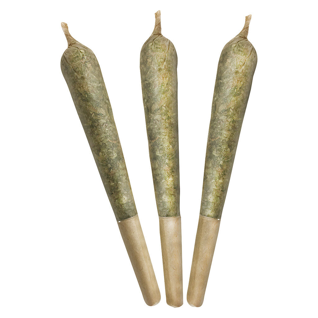 Milly - Gramz Pre-roll - MILLY - Gramz Pre-Roll - Hybrid - 2696-3x1g