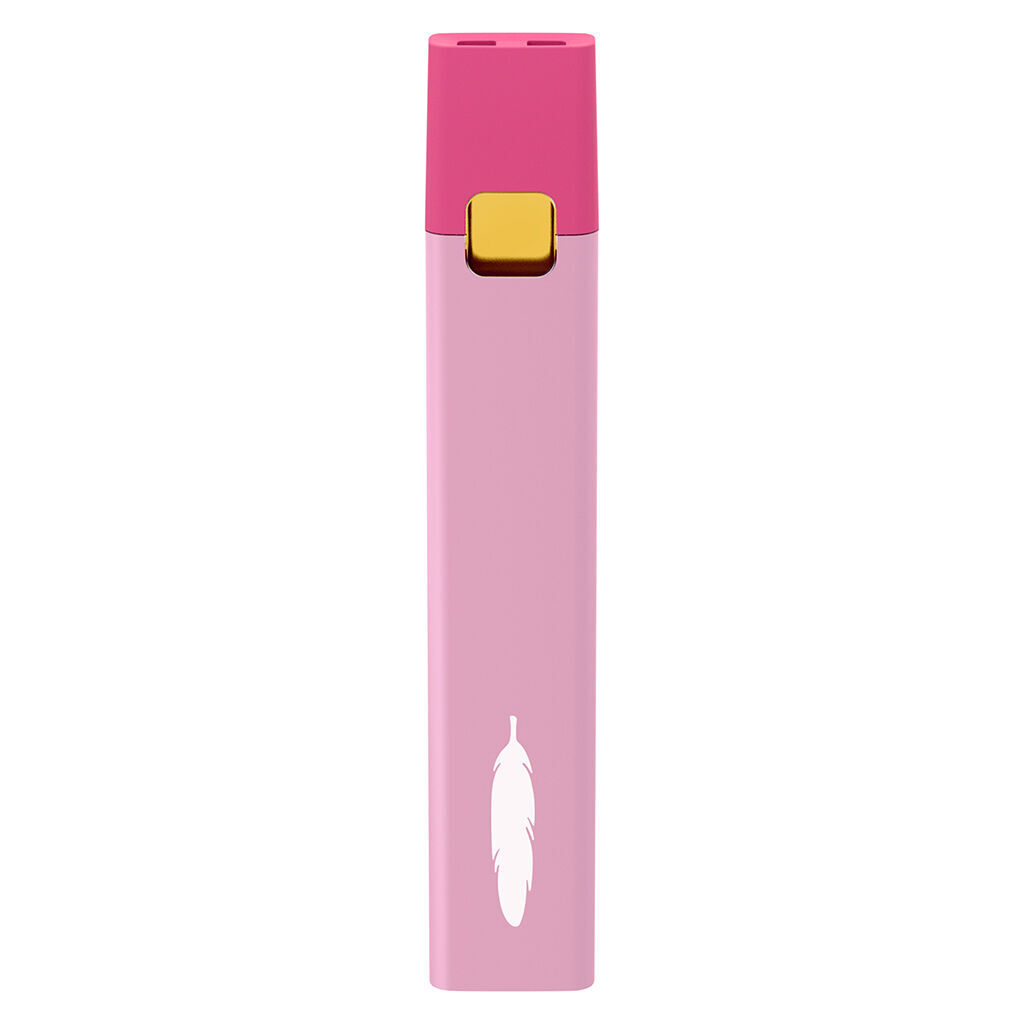 Feather - Melon Bubble Disposable USB-C Kit - Sativa - 1g