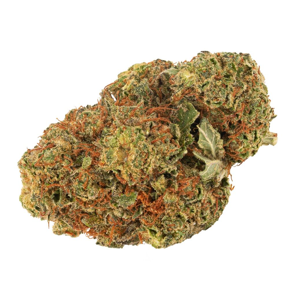 Daily Special - Daily Special Indica