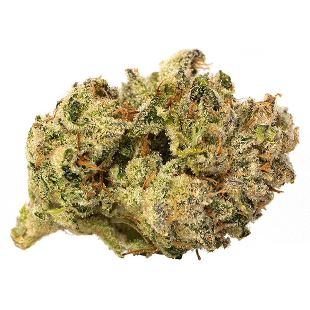 Robinsons - GG #4