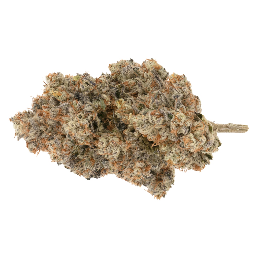 Broken Coast - Pipe Dream