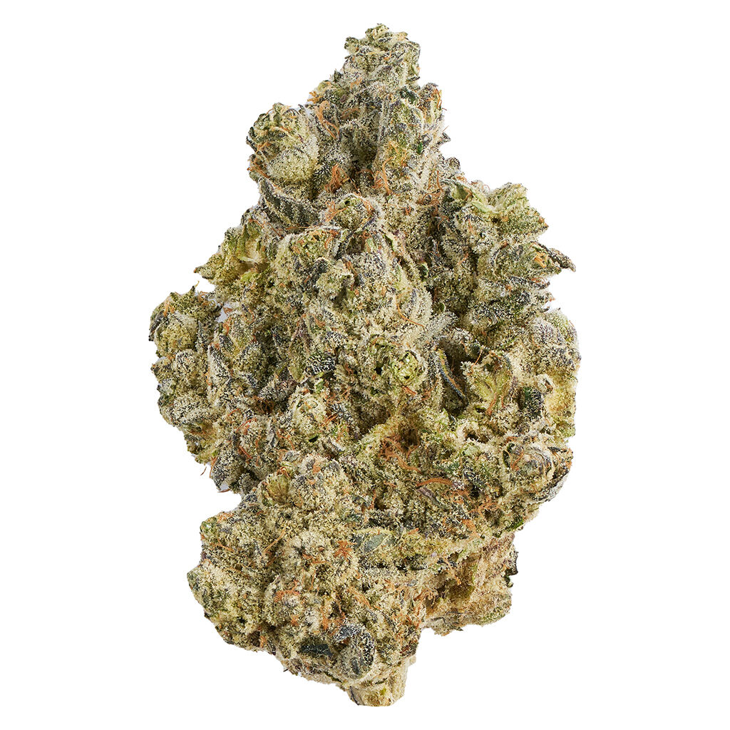 Broken Coast - La Bomba