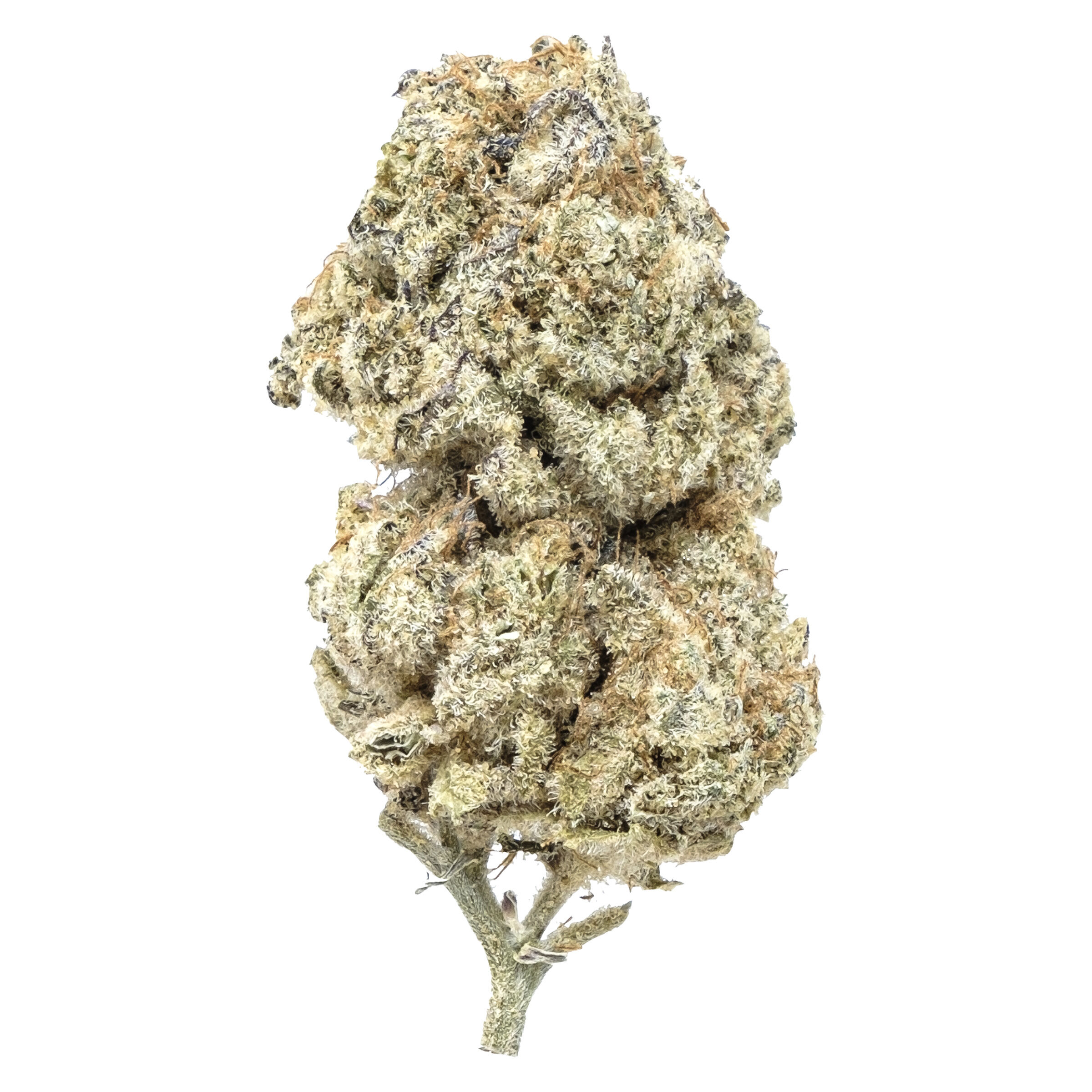Tantalus Labs - OG Platinum Mints