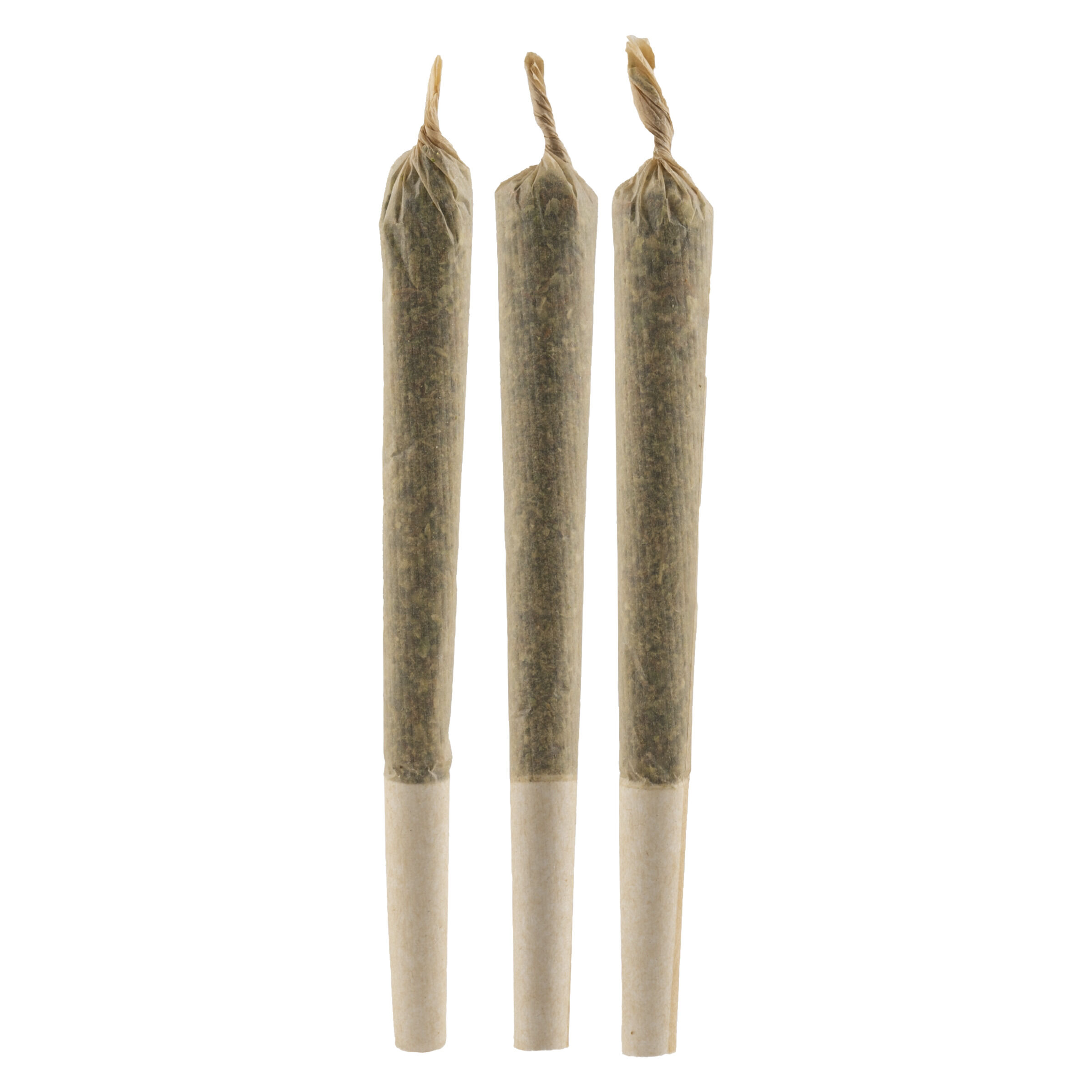Primo - Gorilla Haze Pre-Roll - Sativa - 3x0.5g