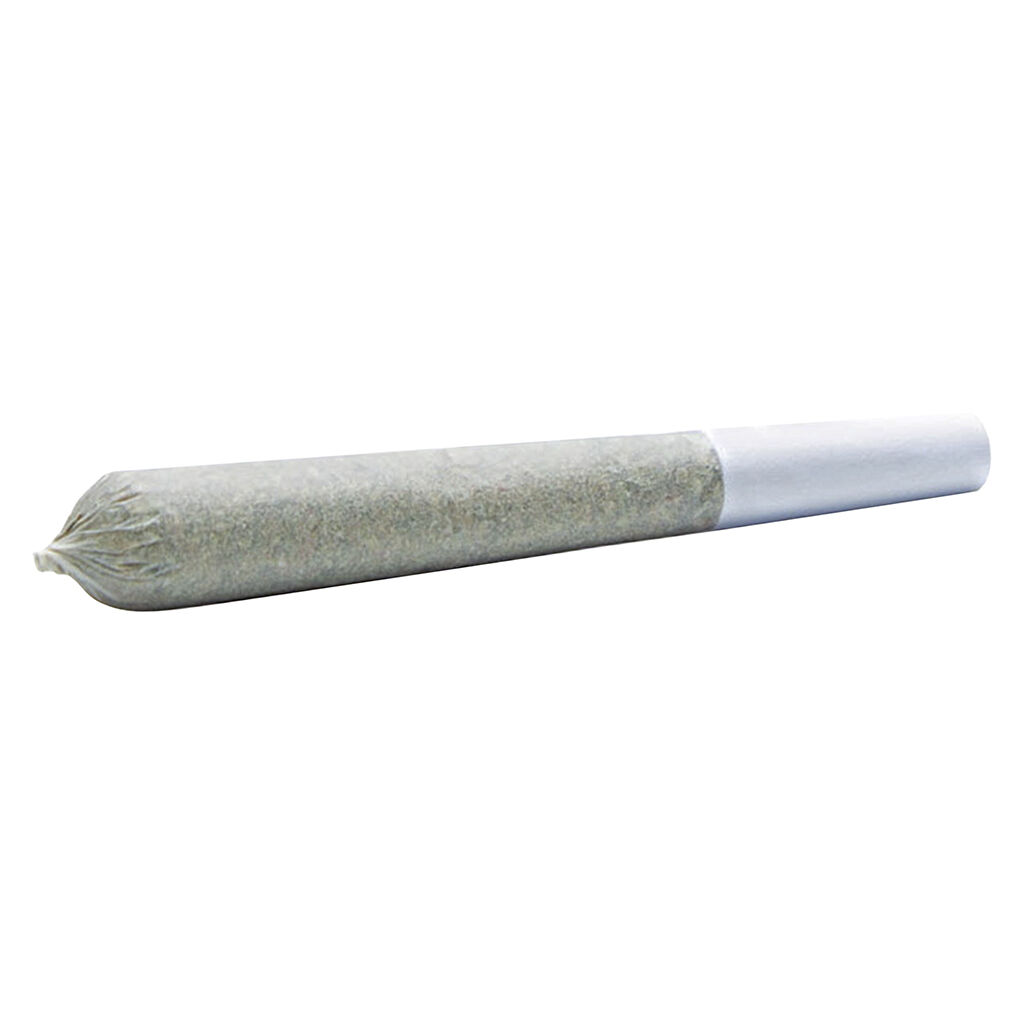 Wildlife Cannabis Co. - Foxy Haze Face Pre-Roll - Sativa - 10x0.35g