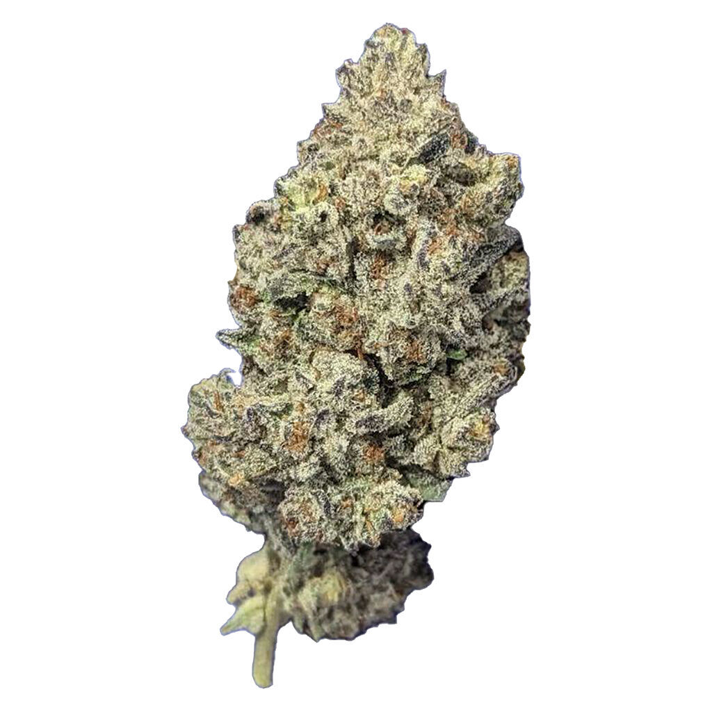 Papa's Herb - Astro Pink