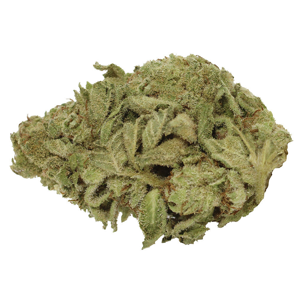 Pure Laine - Big Pleasures (Sativa)