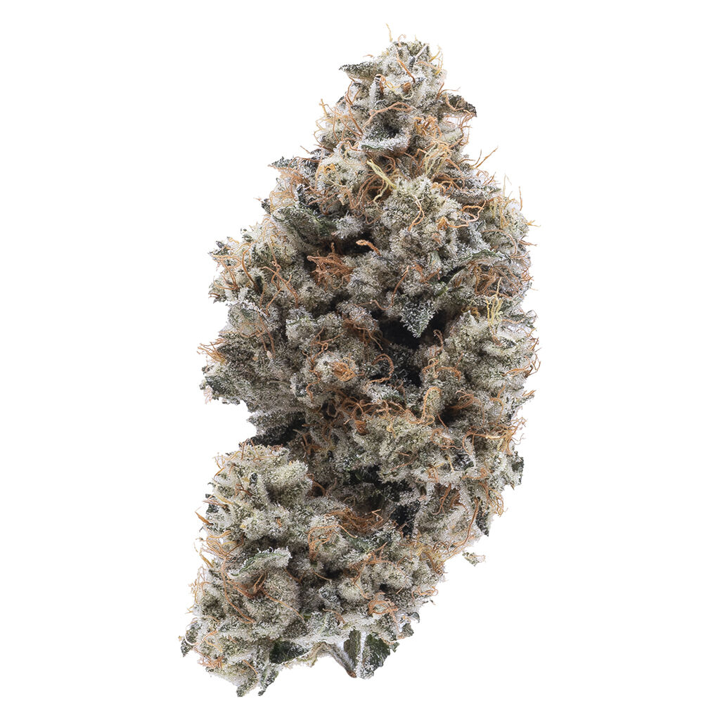 Northern Canna - Frosted Guava Nuts Pre-Roll - Hybrid - 5x0.5g
