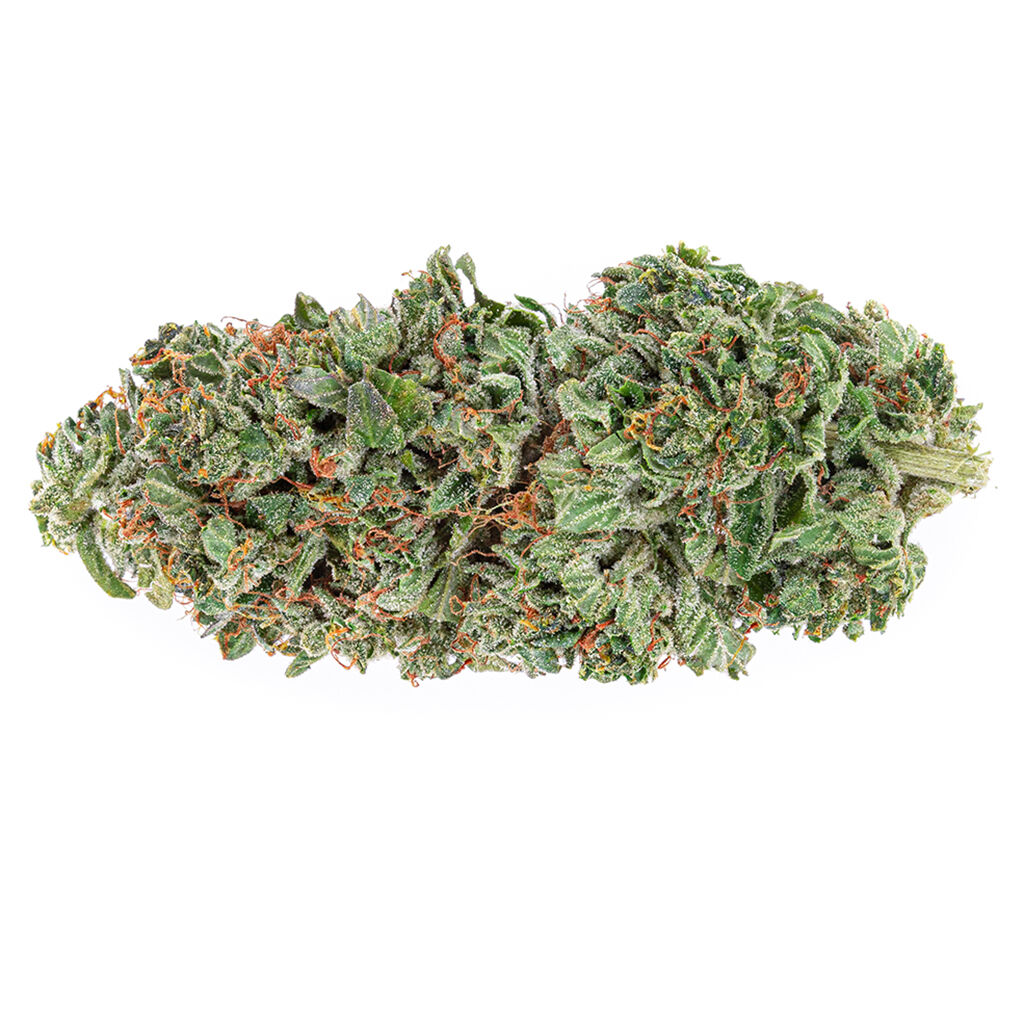 The Green Organic Dutchman - Organic Rockstar Tuna