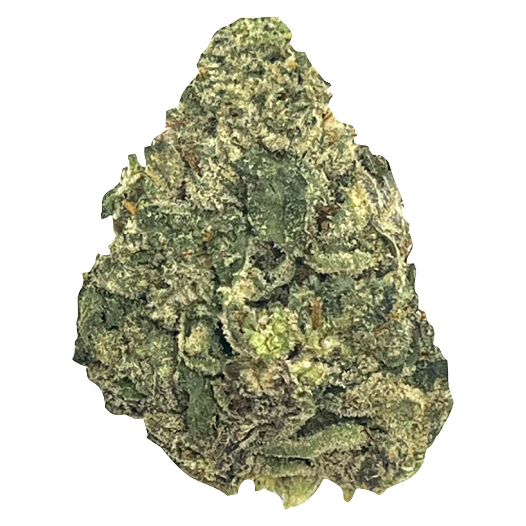 GRDNWRKS - Mango Tango