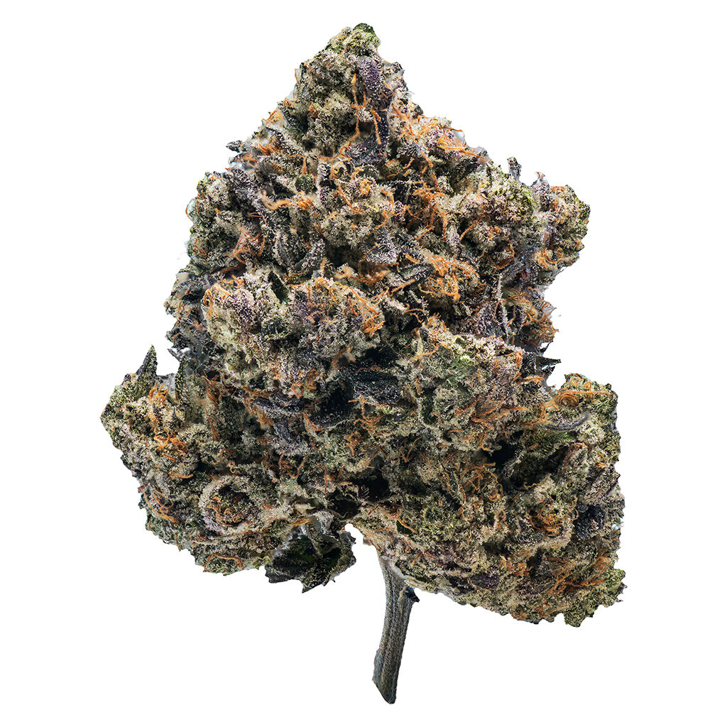 QUAD Farmers - Rare Genetics