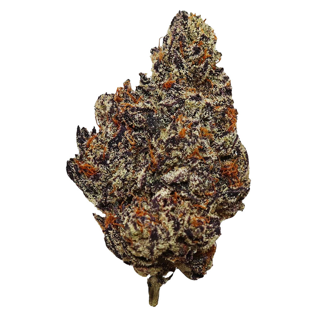 HighXotic - Batch 007