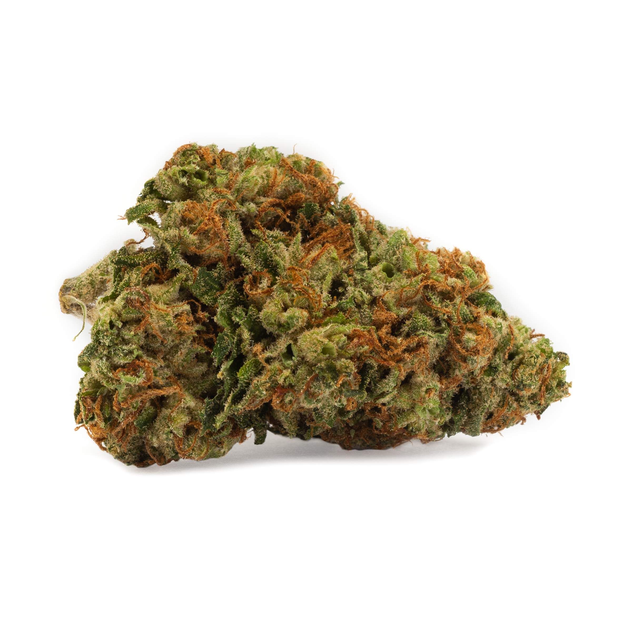 DNA Genetics - Kosher Kush