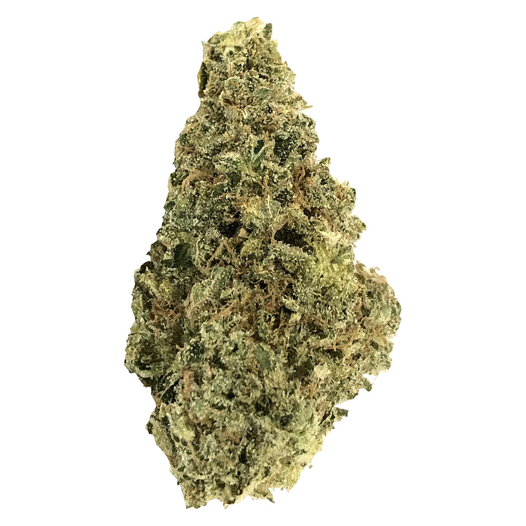 Crooked Dory - AAA+ Indica