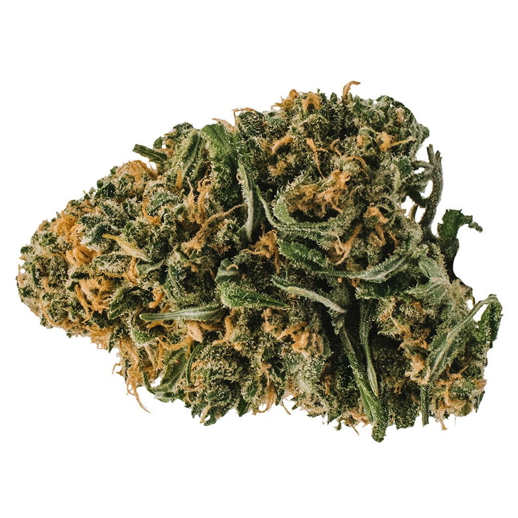 Redecan - Animal Rntz