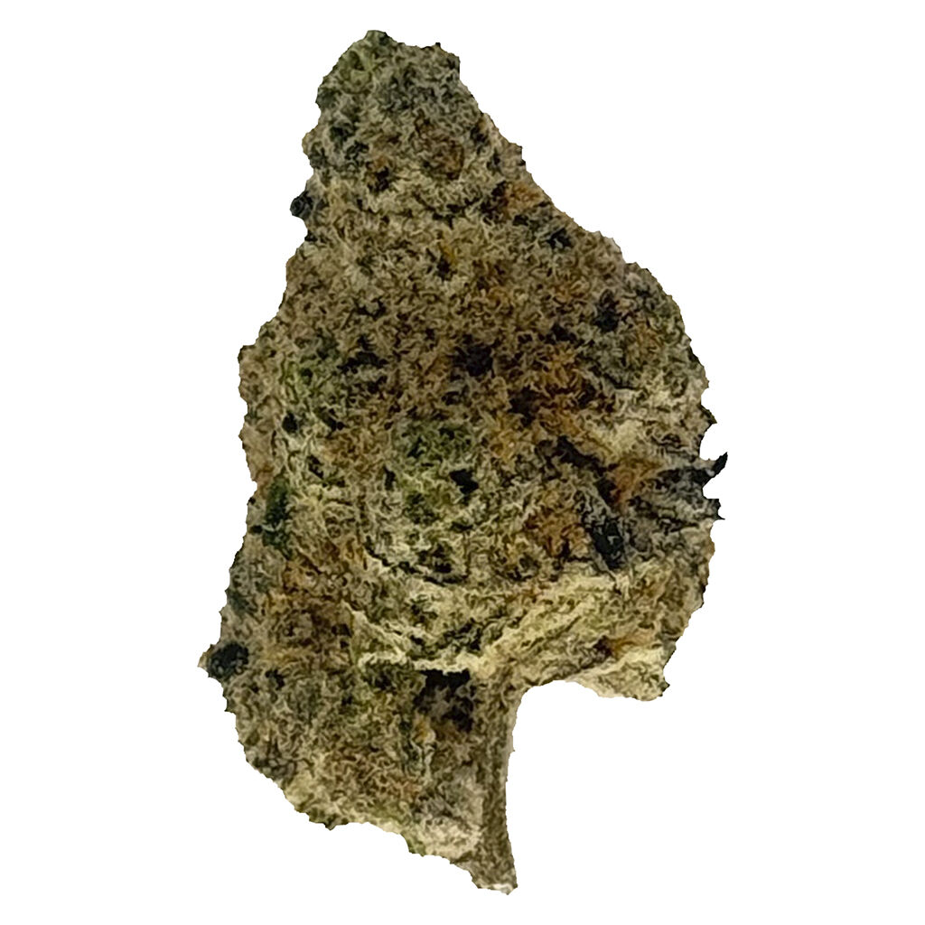 The Oz Store - Dante's Inferno #8
