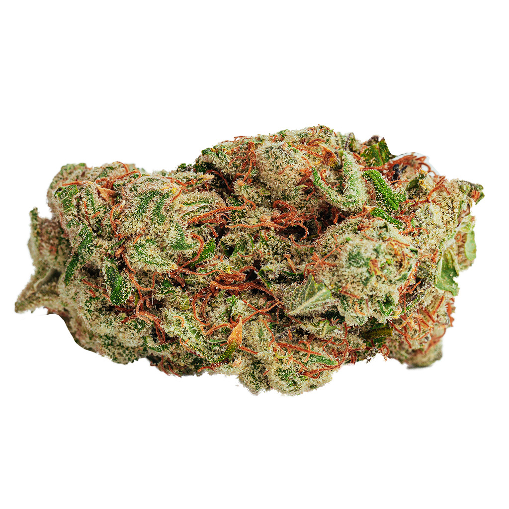 BOLD Growth - Zktlz Glue
