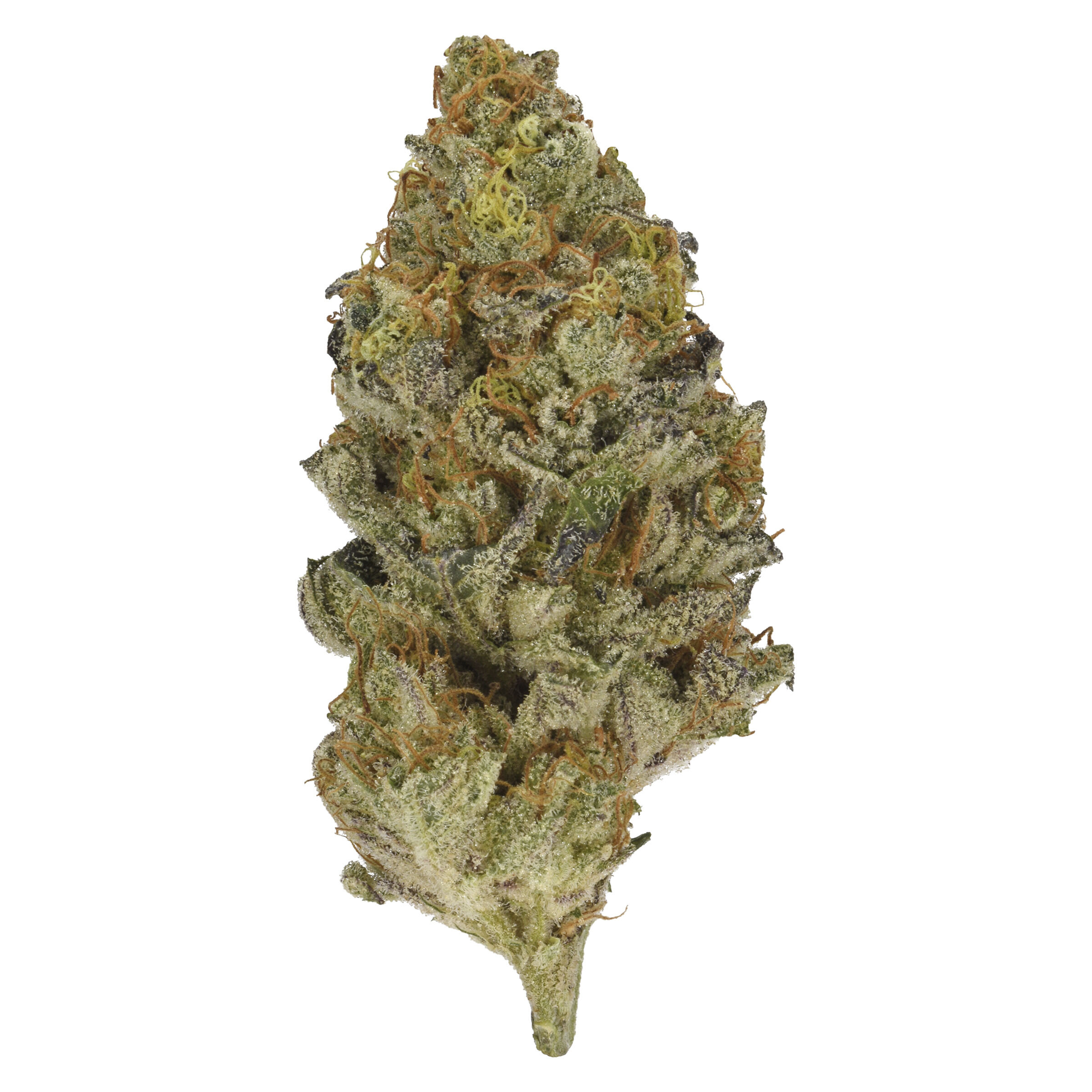BOBS BETTER BUDS - Animal Face #10