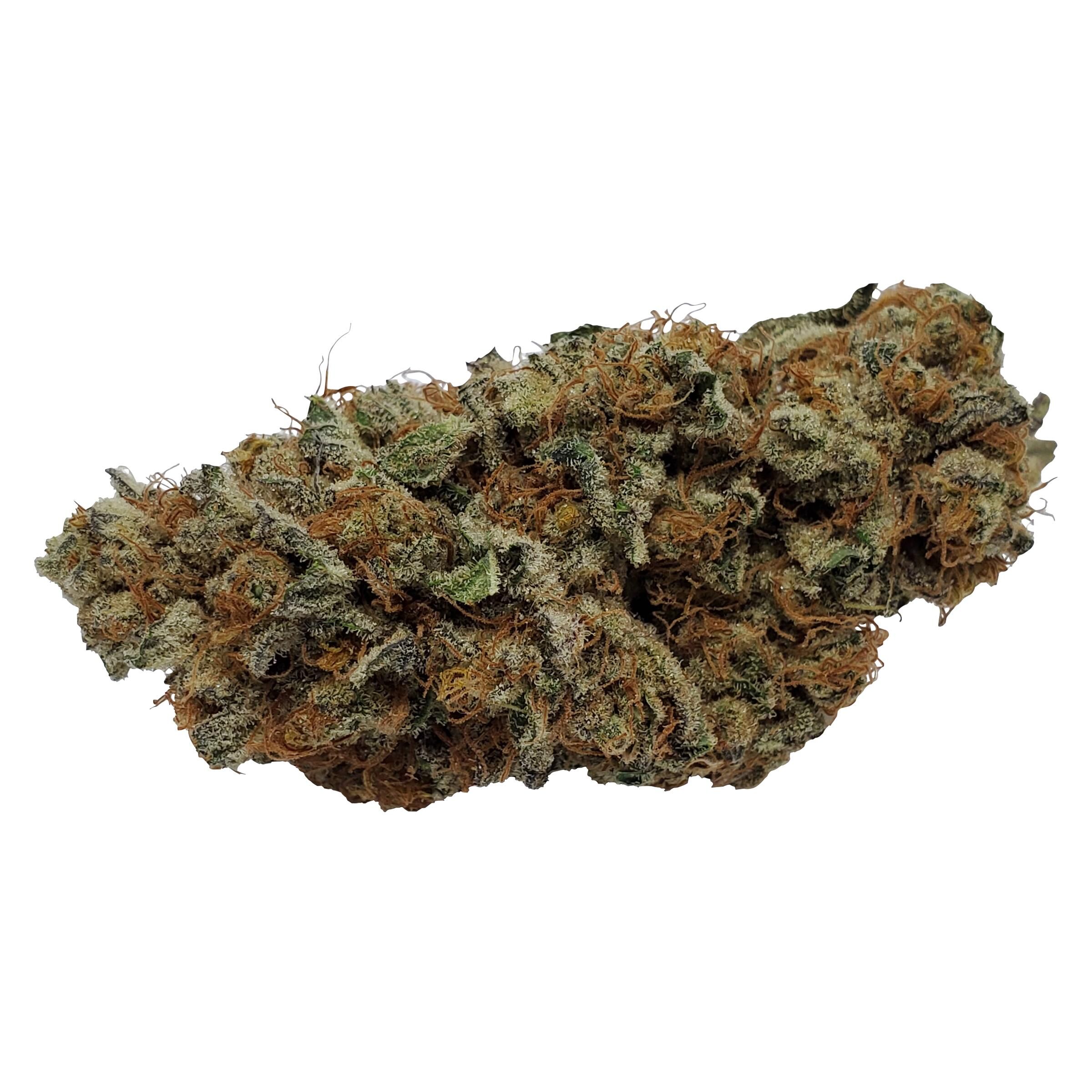 Color Cannabis - Pedro's Prima Sativa