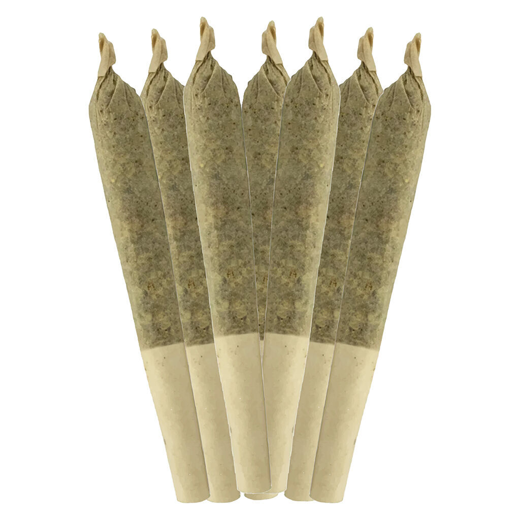 Sheeesh! - Coffin Candy Pre-Roll - Indica - 7x0.5g