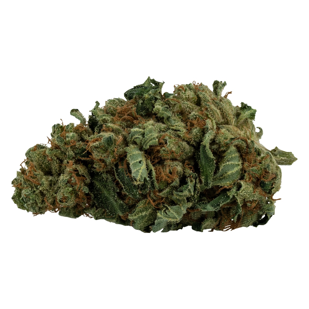 Daily Special - MK Ultra
