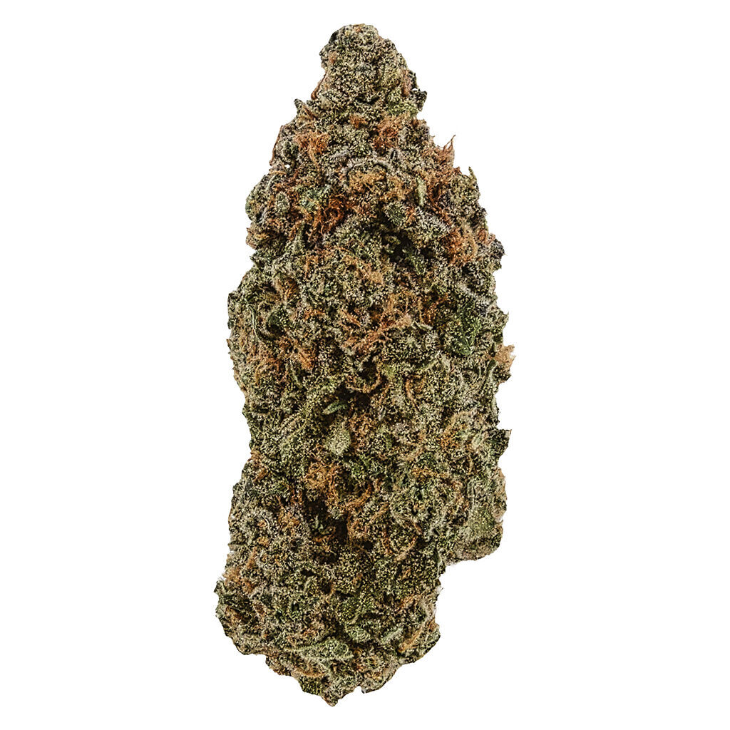 Supernova Farms - WTF (What the Fruit) Strawberry Flower