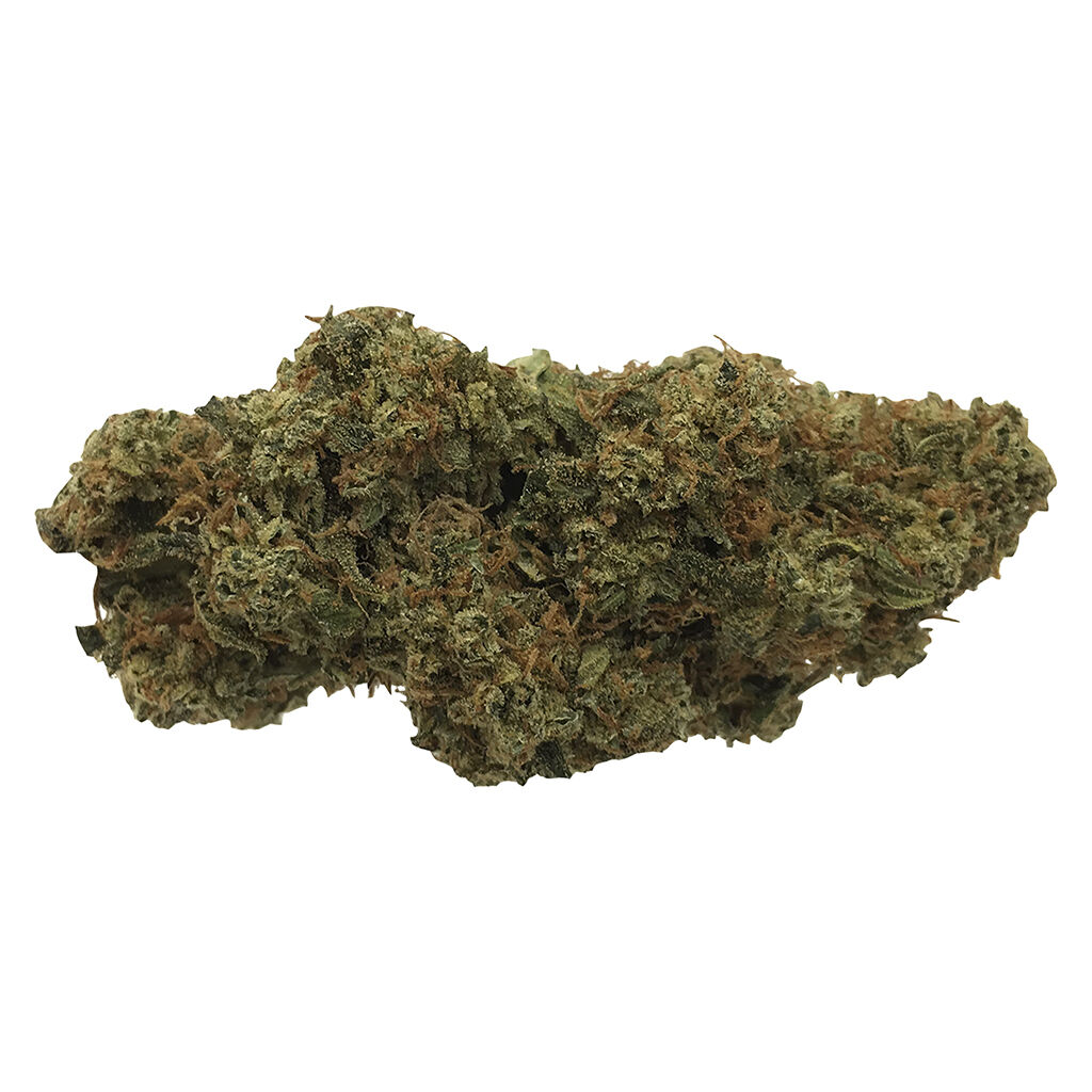 ShinyBud - Ghost Haze-47